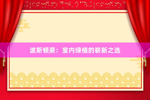 波斯顿蕨：室内绿植的崭新之选
