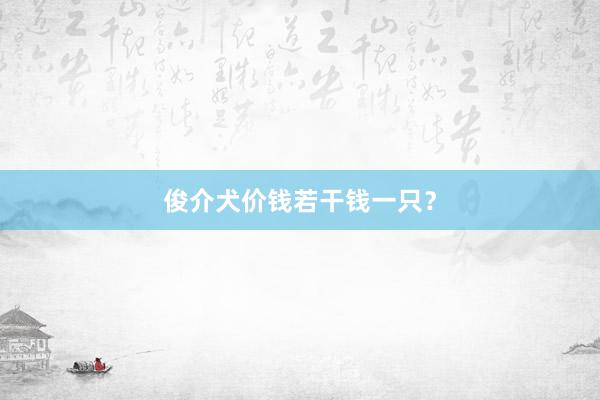 俊介犬价钱若干钱一只？