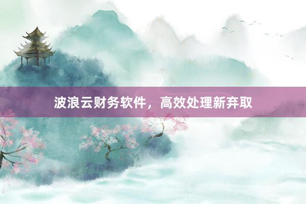 波浪云财务软件，高效处理新弃取